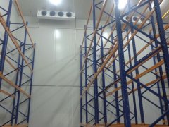 1000噸大姜冷庫安裝費用是多少錢？