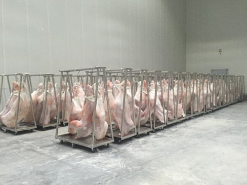 豬肉冷凍庫設備價格,豬肉加工冷庫建造方案